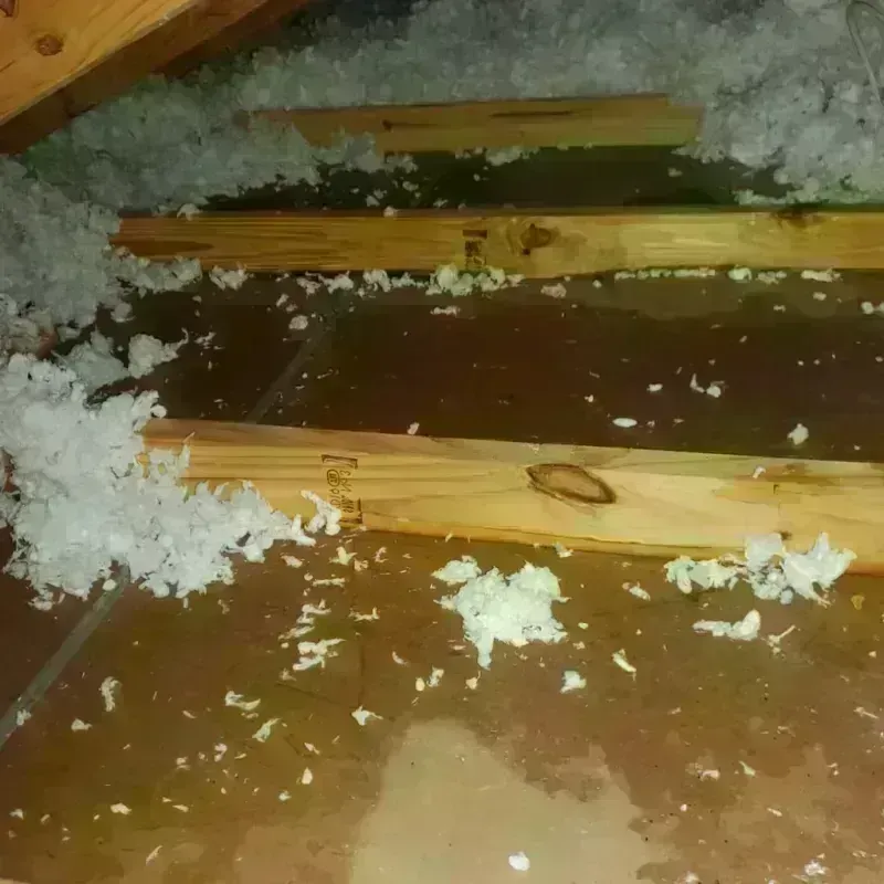 Attic Water Damage in Wilton Manors, FL